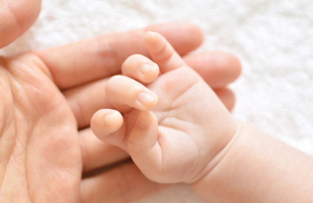 赤ちゃんの手の画像